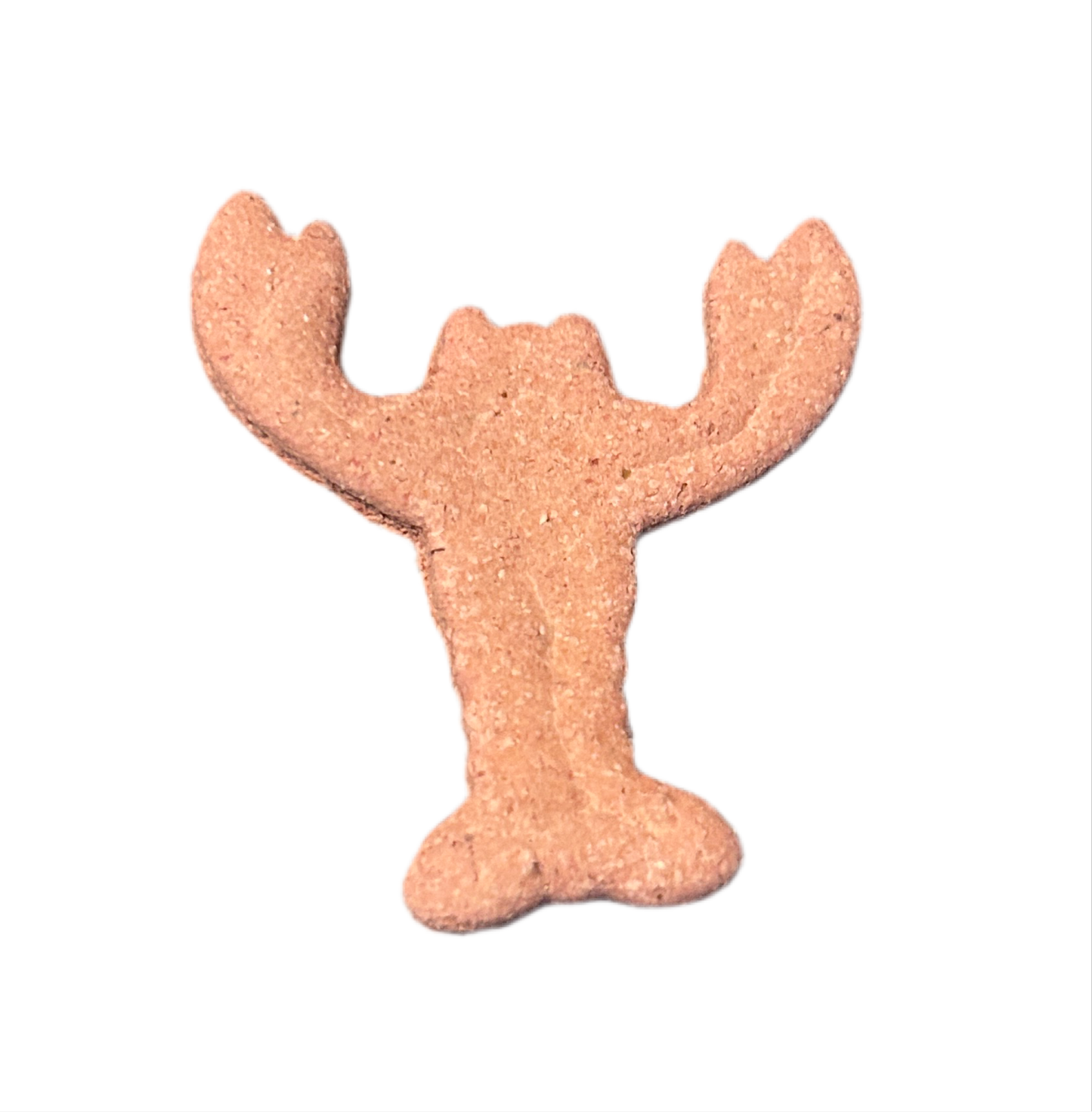 Lobster π¦ Beet & Banana Biscuits