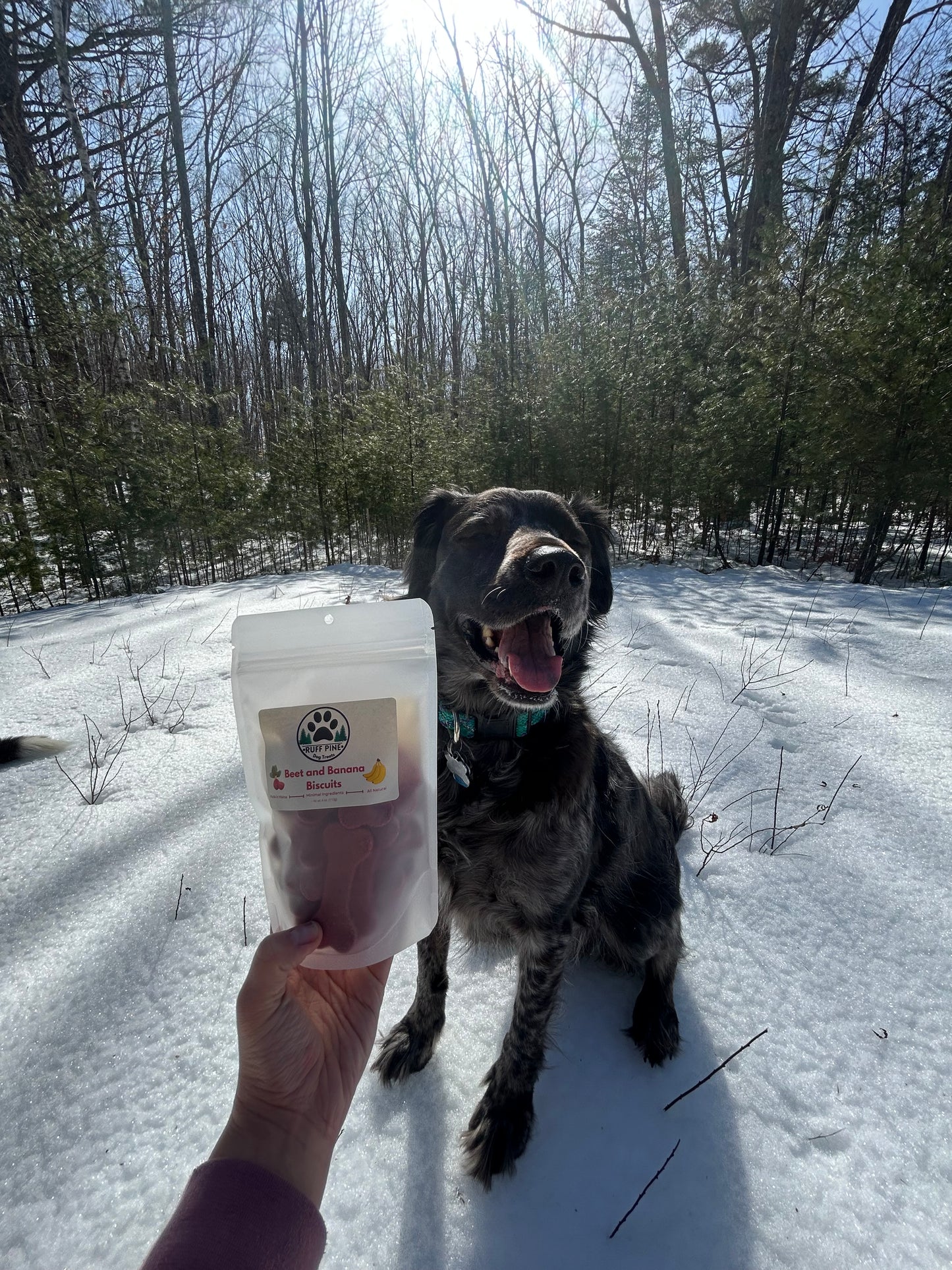 Beet & Banana Biscuits
