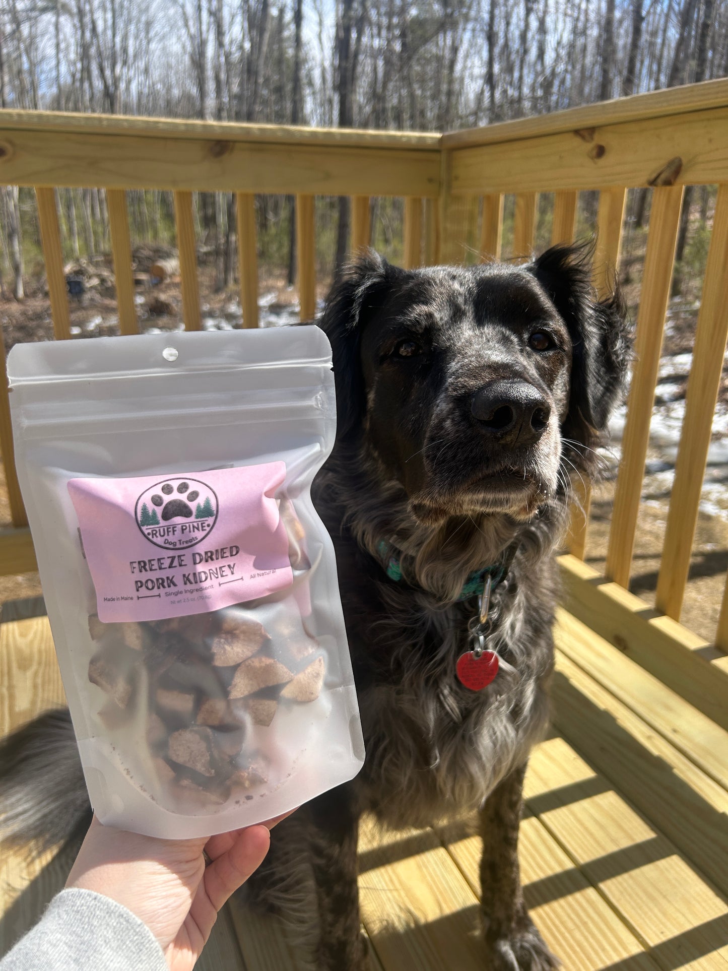 Freeze Dried Pork Kidney