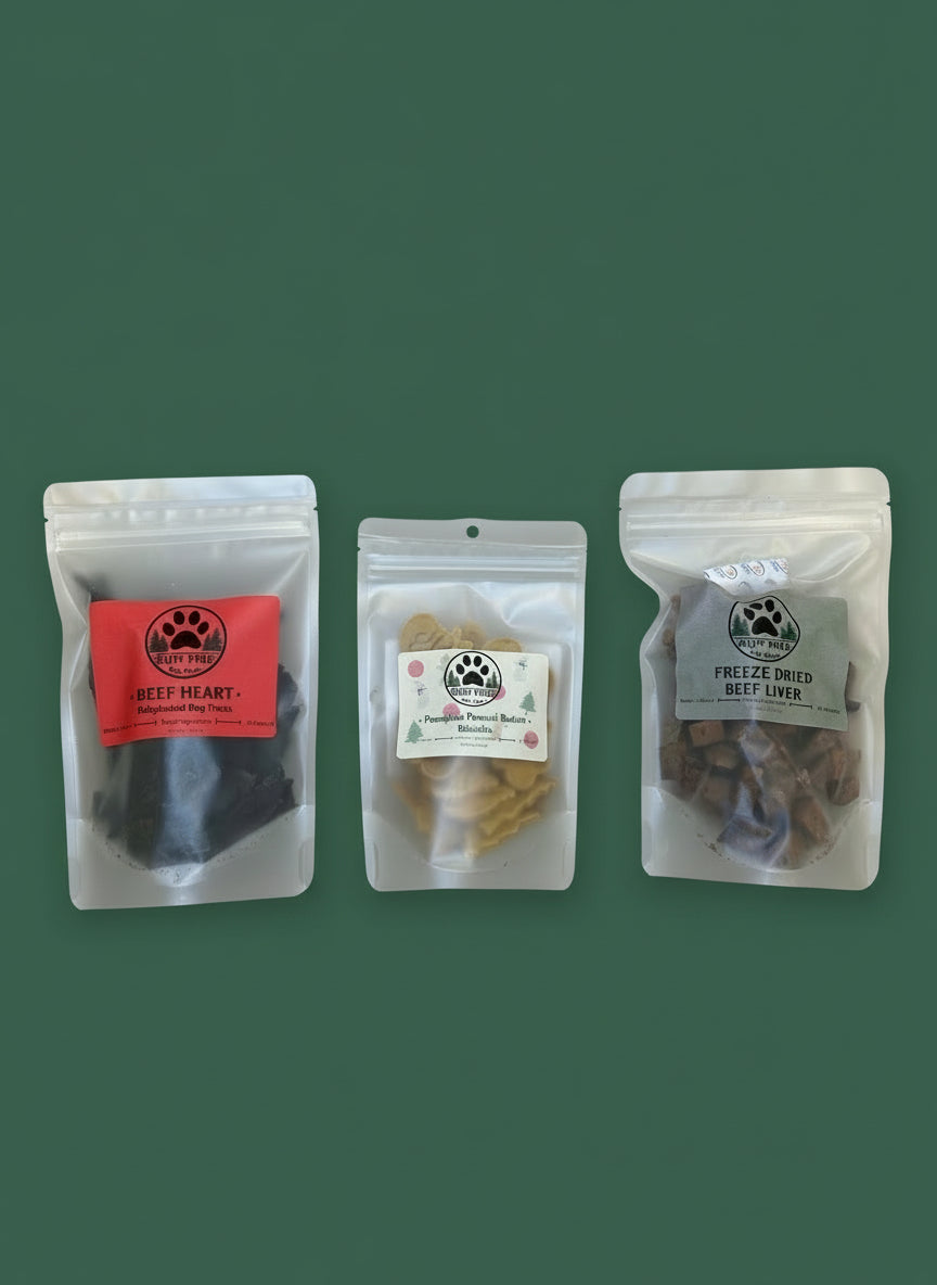 Santa (Large) Holiday Dog Treat Bundle
