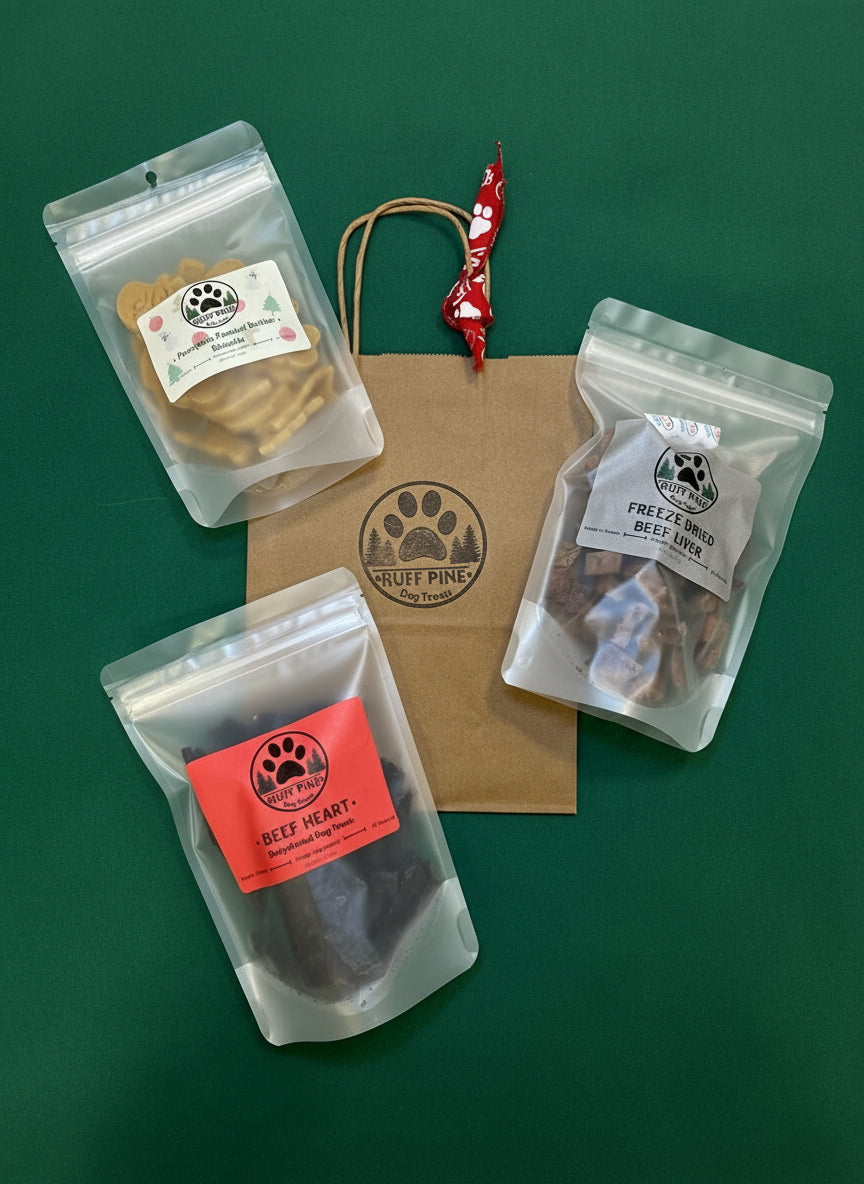 Santa (Large) Holiday Dog Treat Bundle